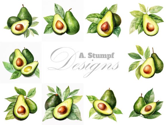 Avocado Watercolor Fruit Clipart Set