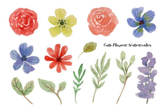 Beautiful Flower and Leaf Watercolor: A Designer’s Honest Review