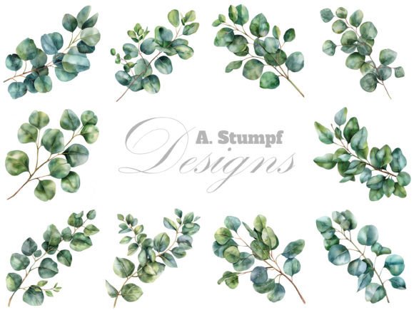 Eucalyptus Leaves Watercolor Clipart Set