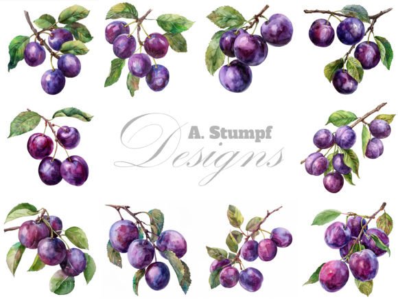 Plums Branch Watercolor Clipart Set