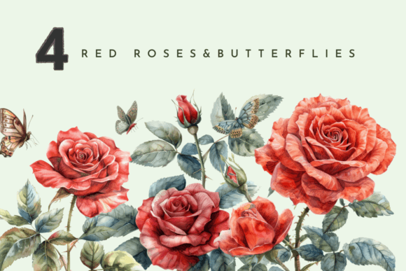 Red Roses Flower: A Watercolor Floral Font