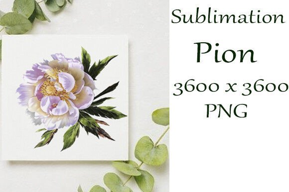 Sublimation Watercolor Peony PNG for Creatives