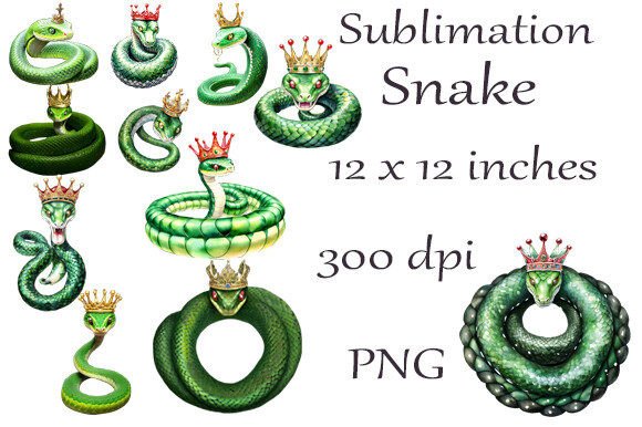 Sublimation Watercolor Snakes PNG3: A Design Asset Worth Knowing