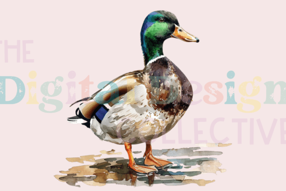 Watercolor Mallard Duck Clipart in Modern Design