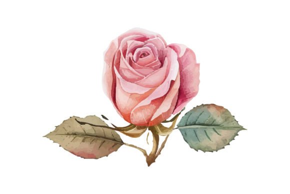 Watercolor Pink Rose: A Display Font with Artistic Soul