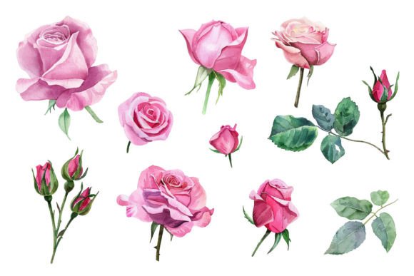 Watercolor Roses Flower: A Display Font with Artistic Soul