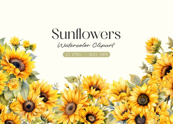 Watercolor Sunflowers Clipart for Design Projects